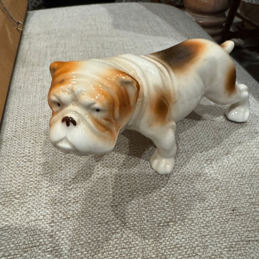 Vintage English Bulldog