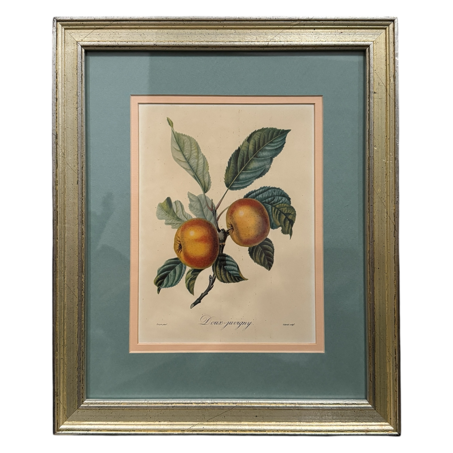 Doux-juvigny Color Lithograph Framed